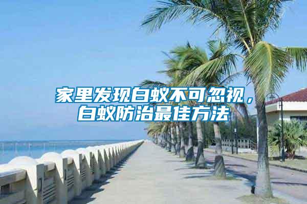 家里發現白蟻不可忽視，白蟻防治最佳方法