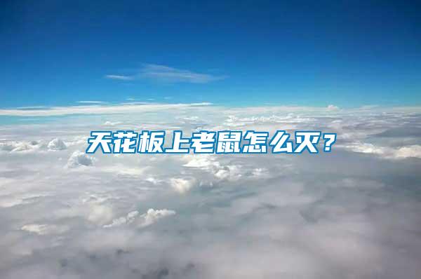 天花板上老鼠怎么滅？