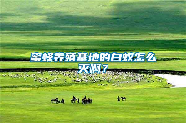 蜜蜂養殖基地的白蟻怎么滅??？