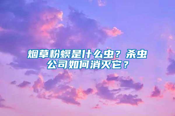 煙草粉螟是什么蟲？殺蟲公司如何消滅它？