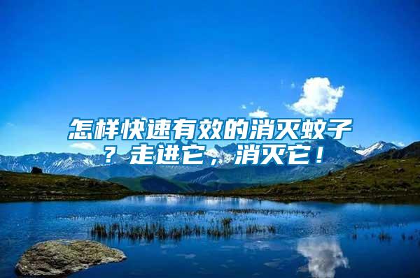 怎樣快速有效的消滅蚊子？走進(jìn)它，消滅它！