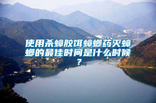 使用殺蟑膠餌蟑螂藥滅蟑螂的最佳時間是什么時候？