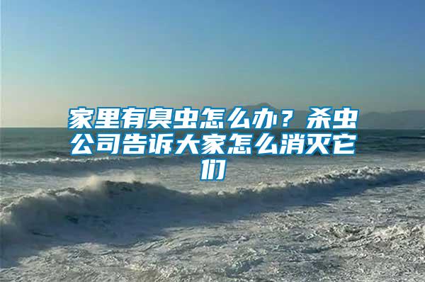 家里有臭蟲怎么辦？殺蟲公司告訴大家怎么消滅它們