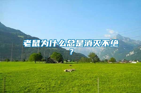 老鼠為什么總是消滅不絕？