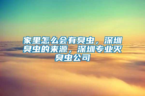 家里怎么會有臭蟲，深圳臭蟲的來源，深圳專業滅臭蟲公司