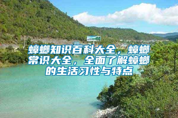 蟑螂知識(shí)百科大全，蟑螂常識(shí)大全，全面了解蟑螂的生活習(xí)性與特點(diǎn)