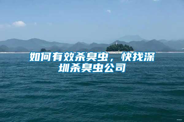 如何有效殺臭蟲，快找深圳殺臭蟲公司