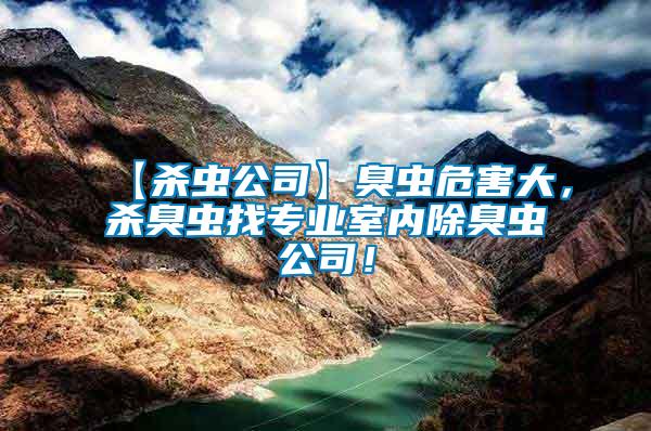 【殺蟲公司】臭蟲危害大，殺臭蟲找專業室內除臭蟲公司！