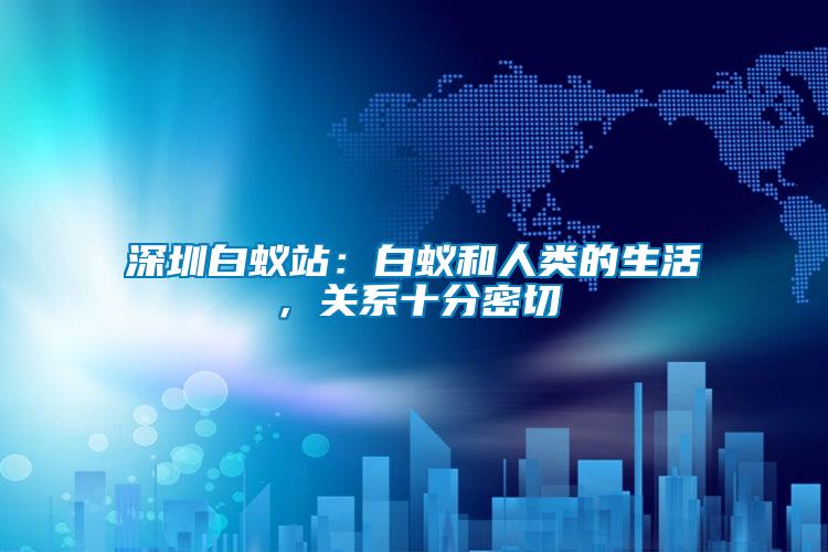 深圳白蟻站：白蟻和人類的生活，關(guān)系十分密切