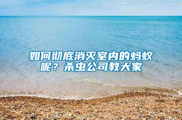 如何徹底消滅室內(nèi)的螞蟻呢？殺蟲(chóng)公司教大家