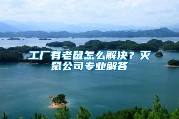 工廠有老鼠怎么解決？滅鼠公司專業(yè)解答