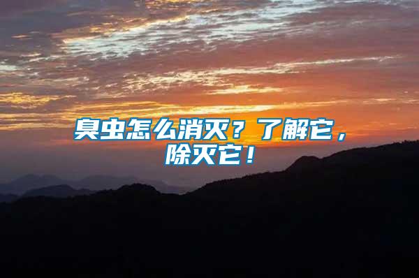 臭蟲怎么消滅？了解它，除滅它！