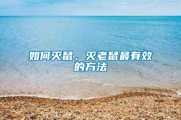 如何滅鼠，滅老鼠最有效的方法