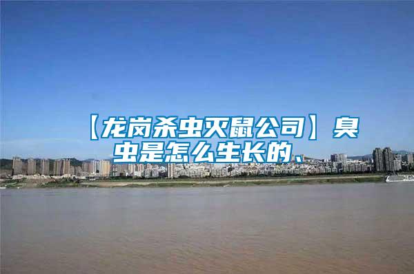 【龍崗殺蟲滅鼠公司】臭蟲是怎么生長(zhǎng)的、