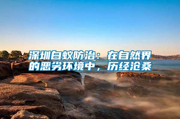 深圳白蟻防治：在自然界的惡劣環境中，歷經滄桑