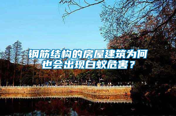 鋼筋結(jié)構(gòu)的房屋建筑為何也會出現(xiàn)白蟻危害？