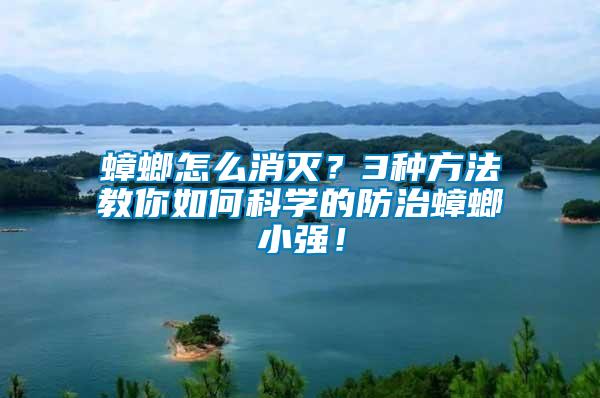 蟑螂怎么消滅？3種方法教你如何科學的防治蟑螂小強！