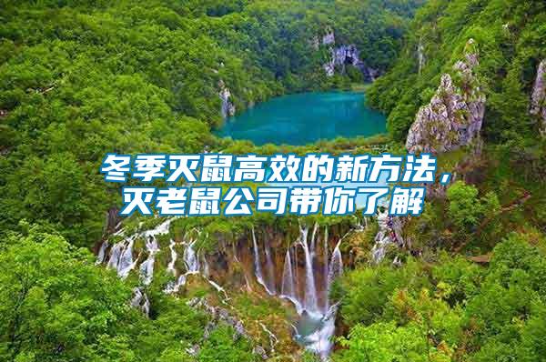 冬季滅鼠高效的新方法，滅老鼠公司帶你了解