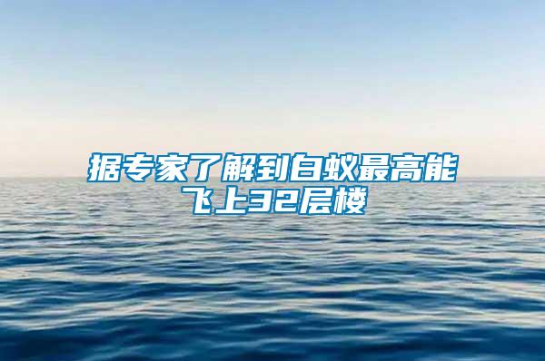 據(jù)專(zhuān)家了解到白蟻?zhàn)罡吣茱w上32層樓