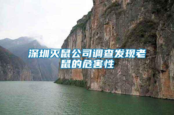 深圳滅鼠公司調查發(fā)現(xiàn)老鼠的危害性