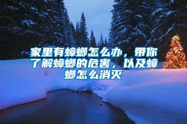 家里有蟑螂怎么辦，帶你了解蟑螂的危害，以及蟑螂怎么消滅