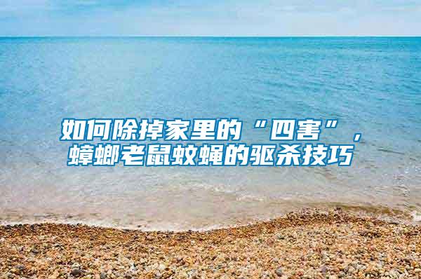 如何除掉家里的“四害”，蟑螂老鼠蚊蠅的驅(qū)殺技巧