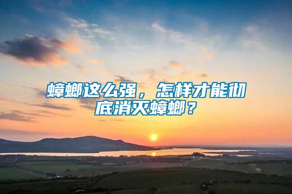 蟑螂這么強，怎樣才能徹底消滅蟑螂？