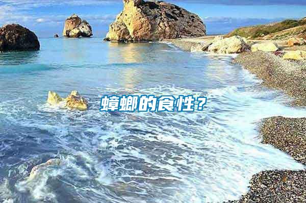 蟑螂的食性？