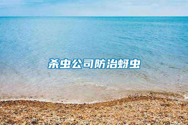 殺蟲(chóng)公司防治蚜蟲(chóng)