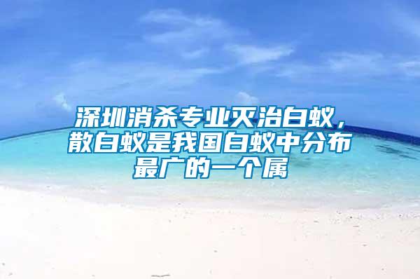 深圳消殺專業(yè)滅治白蟻，散白蟻是我國白蟻中分布最廣的一個(gè)屬