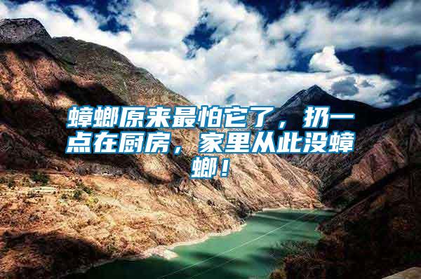 蟑螂原來最怕它了，扔一點(diǎn)在廚房，家里從此沒蟑螂！