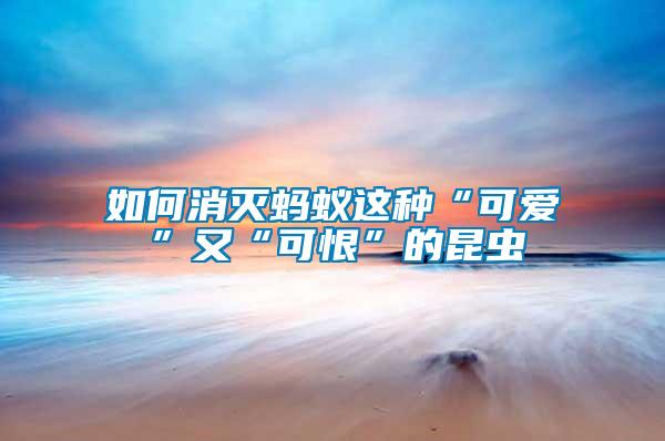 如何消滅螞蟻這種“可愛(ài)”又“可恨”的昆蟲