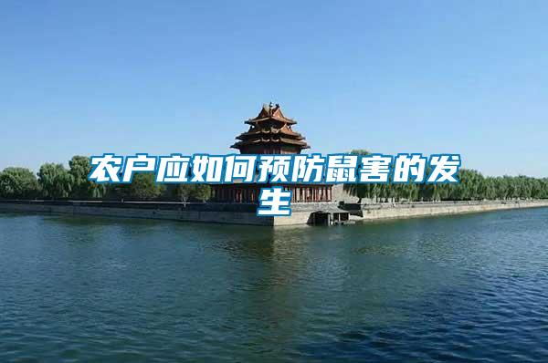 農戶應如何預防鼠害的發生