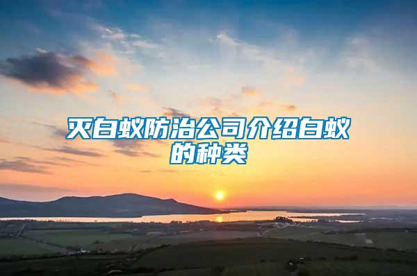 滅白蟻防治公司介紹白蟻的種類(lèi)