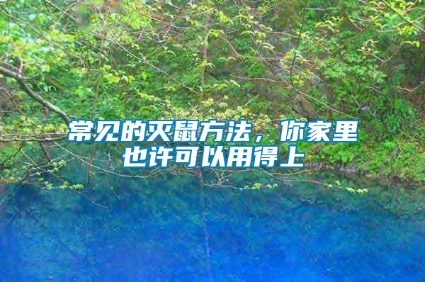 常見的滅鼠方法，你家里也許可以用得上