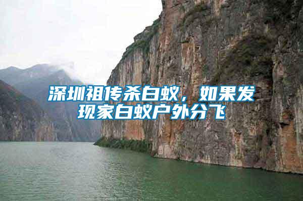 深圳祖?zhèn)鳉紫仯绻l(fā)現(xiàn)家白蟻戶外分飛