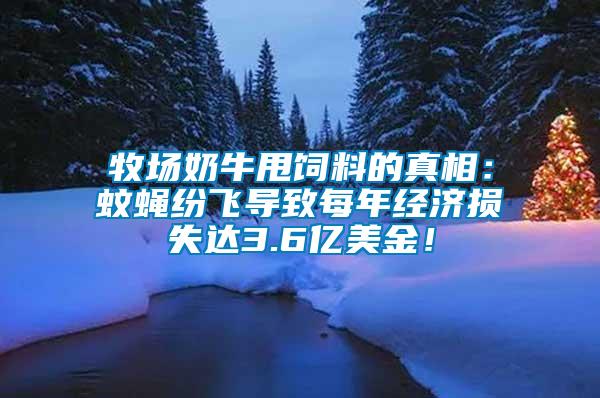 牧場奶牛甩飼料的真相：蚊蠅紛飛導致每年經濟損失達3.6億美金！