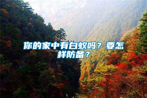 你的家中有白蟻嗎？要怎樣防備？