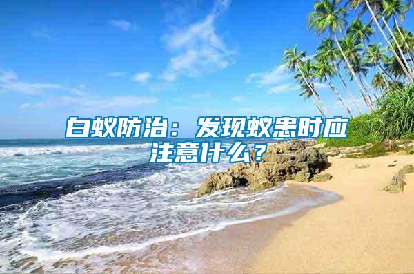 白蟻防治：發(fā)現(xiàn)蟻患時應(yīng)注意什么？