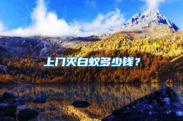上門滅白蟻多少錢？
