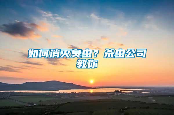 如何消滅臭蟲？殺蟲公司教你