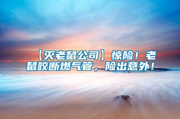 【滅老鼠公司】驚險(xiǎn)！老鼠咬斷燃?xì)夤?，險(xiǎn)出意外！