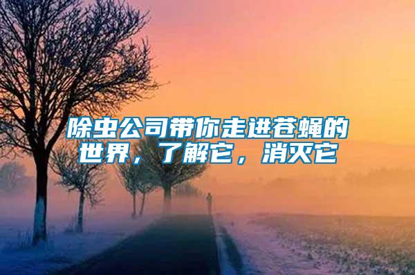除蟲公司帶你走進(jìn)蒼蠅的世界，了解它，消滅它