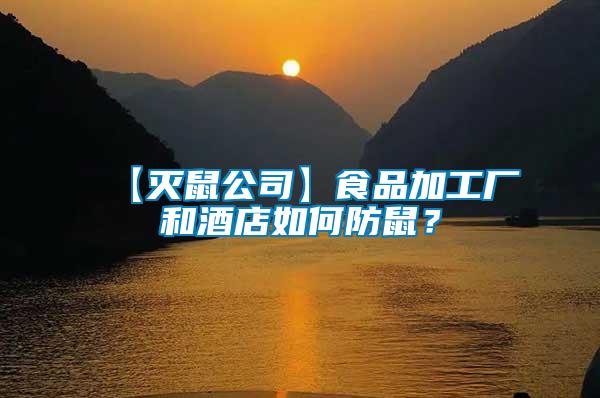 【滅鼠公司】食品加工廠和酒店如何防鼠？