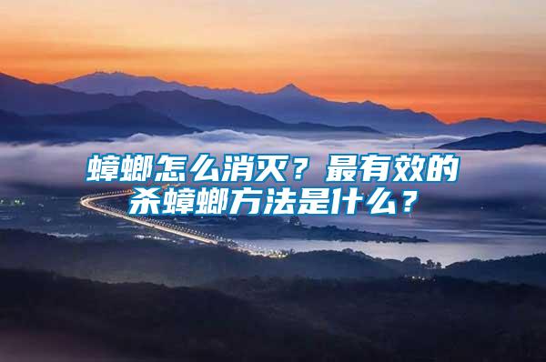 蟑螂怎么消滅？最有效的殺蟑螂方法是什么？
