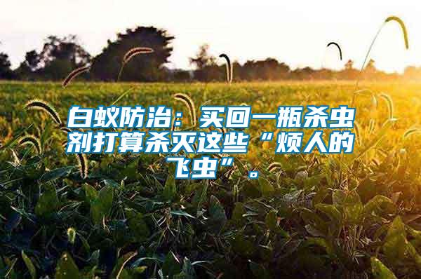 白蟻防治：買回一瓶殺蟲(chóng)劑打算殺滅這些“煩人的飛蟲(chóng)”。