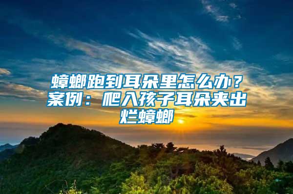 蟑螂跑到耳朵里怎么辦？案例：爬入孩子耳朵夾出爛蟑螂