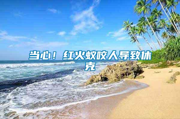 當心！紅火蟻咬人導致休克
