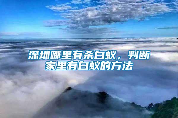 深圳哪里有殺白蟻，判斷家里有白蟻的方法
