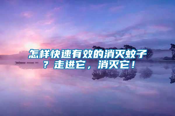 怎樣快速有效的消滅蚊子？走進(jìn)它，消滅它！